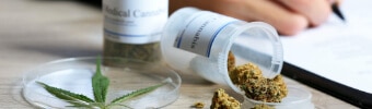 Medical Cannabis Labels
